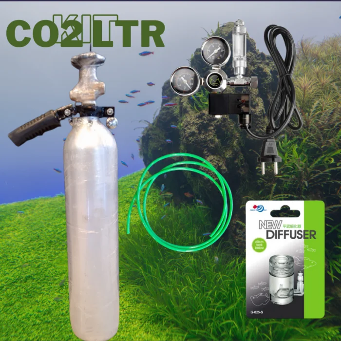 Co2 Kit 2 Ltr (M) Back Water Aquatics