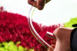 Aquario Neo Flow Lily Pipe 17 Mm - Image 4