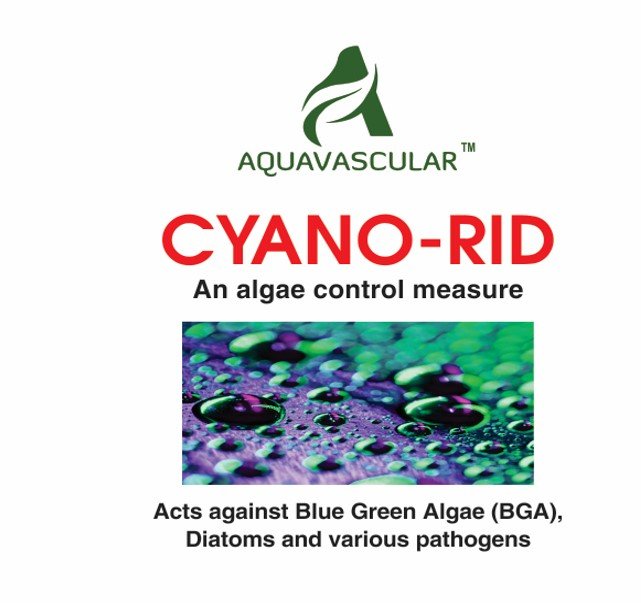 Aquavascular Cyano-Rid 60Ml AquaVascular