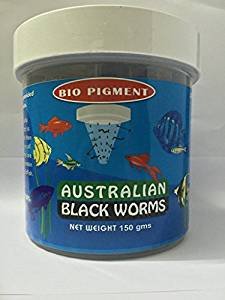 Australian Black Worms Bio Pigment Australian Black Worms