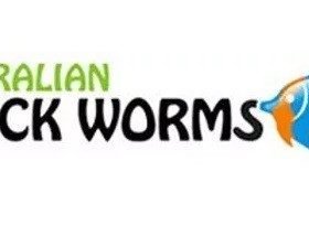 Australian Black Worms India