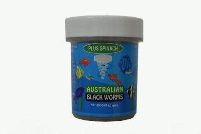 Australian Black Worms Plus Spinach Australian Black Worms