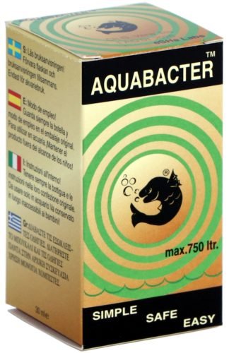 What are Beneficial Bacteria in an aquarium?