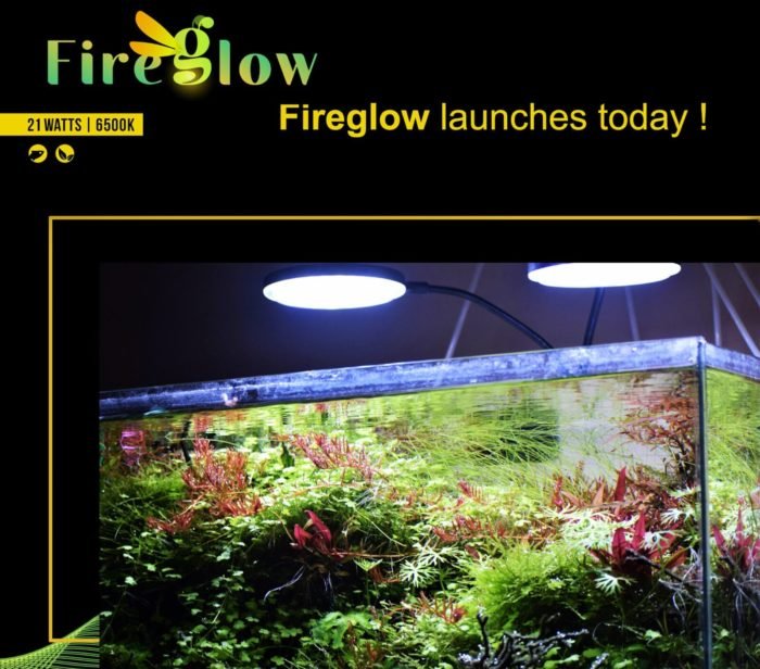 Fire Glow Aquarium Led Light I 6500K I For Planted Tanks And Fish Tanks Fireglow