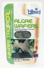 Hikari Tropical Algae Wafers Aquarium Fish Food - Image 2