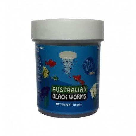 Australian Black Worms Plain Australian Black Worms