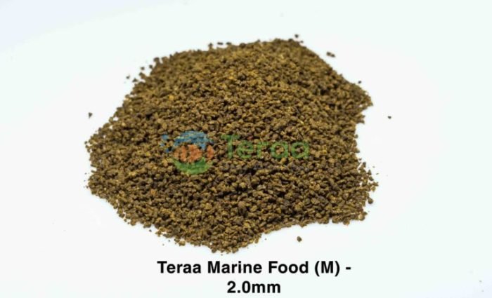 Teraa Marine Medium-Fish Food 50gm Teraa