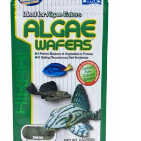 HIKARI Tropical Algae Wafers | 20g