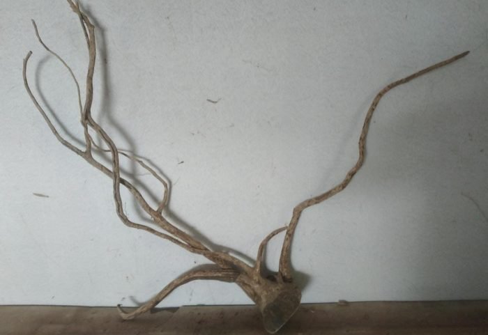 Driftwood(Code: DW016)