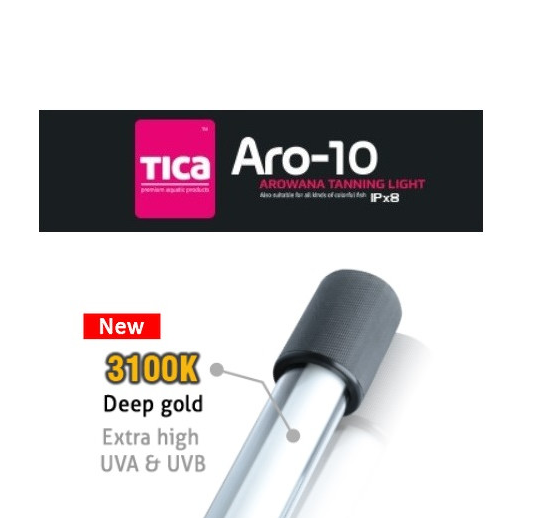 TICA ARO-10 DEEP GOLD (112 CMS) TICA