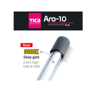 TICA ARO-10 DEEP GOLD (92 CMS)