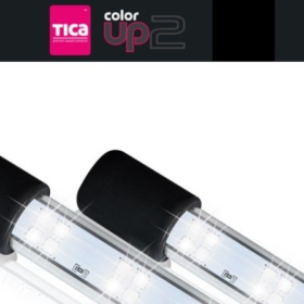 TICA COLORUP 2 (142 CMS)