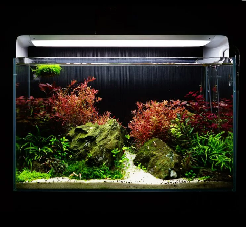 Flat One+｜ The Smart Aquarium Lighting (60cm, Standard style) ONF