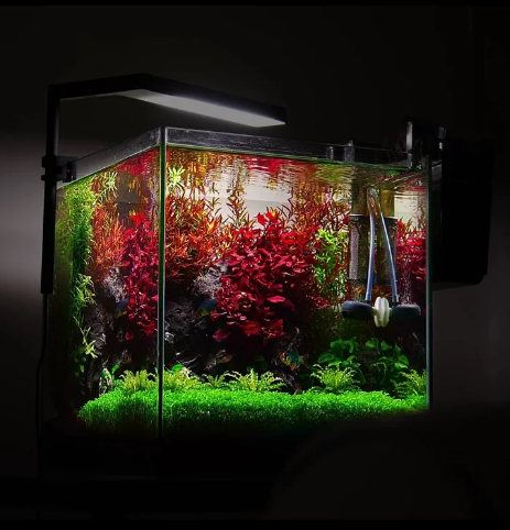 ONF Flat Nano + Smart planted aquarium lighting (App control) ONF