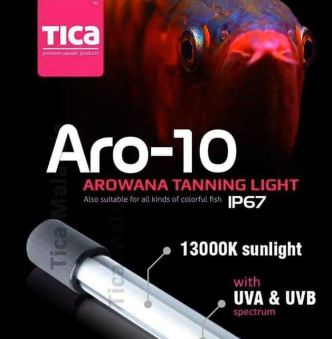 Tica 13000 K Aro-10 Light(52cm) TICA