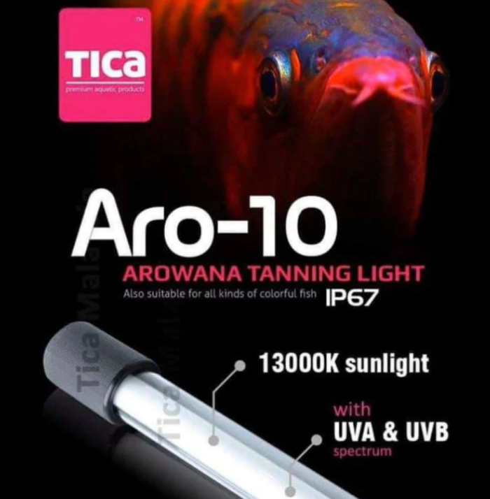 Tica 13000 K Aro-10 Light(52cm) TICA