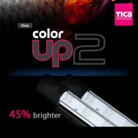Tica ColorUp2 (172cm)