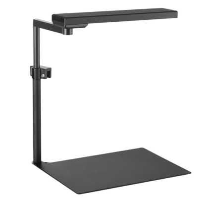 Back Water Aquatics Online Aquarium Products & Accessories Store and Aquascaping Gallery