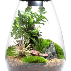 Bioloark Bio Bottle LED SD-5.3 L