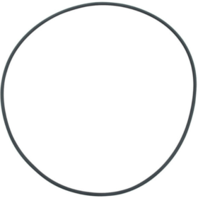 FX Series O-Ring (Filter Lid)
