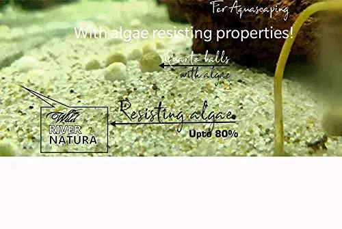 River Natura Sand - 1 kg Cosmetic Sand for Aquascaping Aquatic Remedies