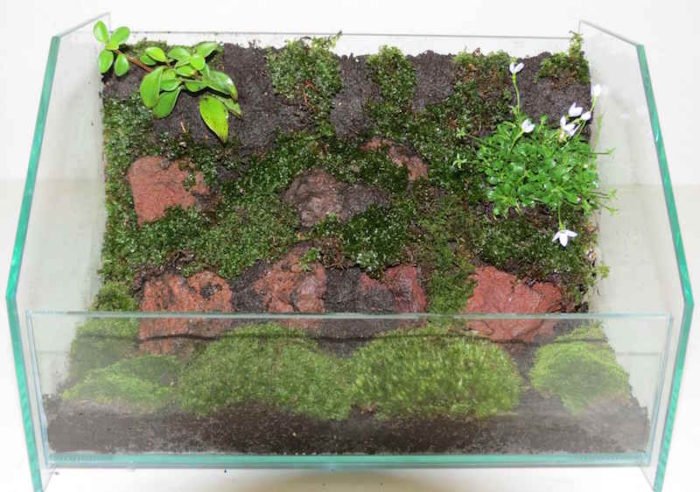 JUN Modelling Soil for Wet Setting and Terrariums 1 Litre MasterSoil