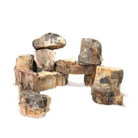 Aquarium Rock Wood Fossil Stone 20kg