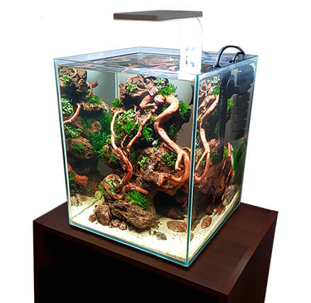 Back Water Aquatics - Aquarium Store Online Aquarium Accessories