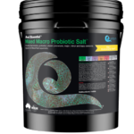 Quantum Salt India for Marine Aquariums