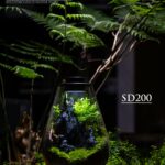 SD 200 Purepot series