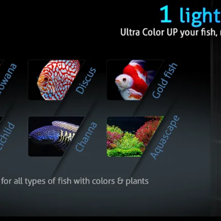 Tica UltraColor Colourup lights india
