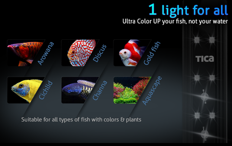 Tica UltraColor Colourup lights india