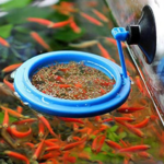 feeding ring round