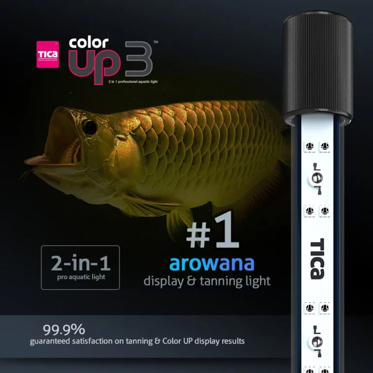 Tica Colorup 3 India