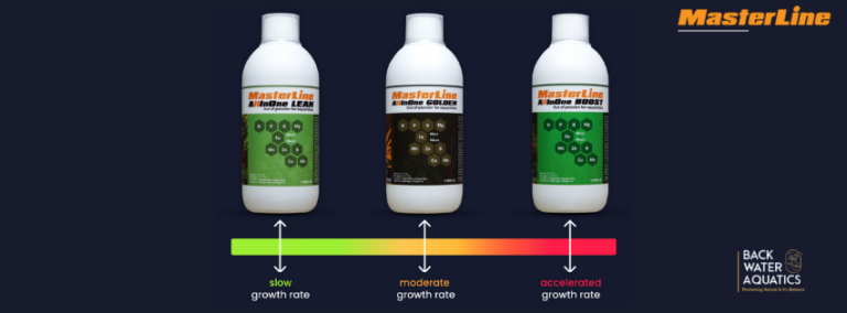 Back Water Aquatics Online Aquarium Products & Accessories Store and Aquascaping Gallery