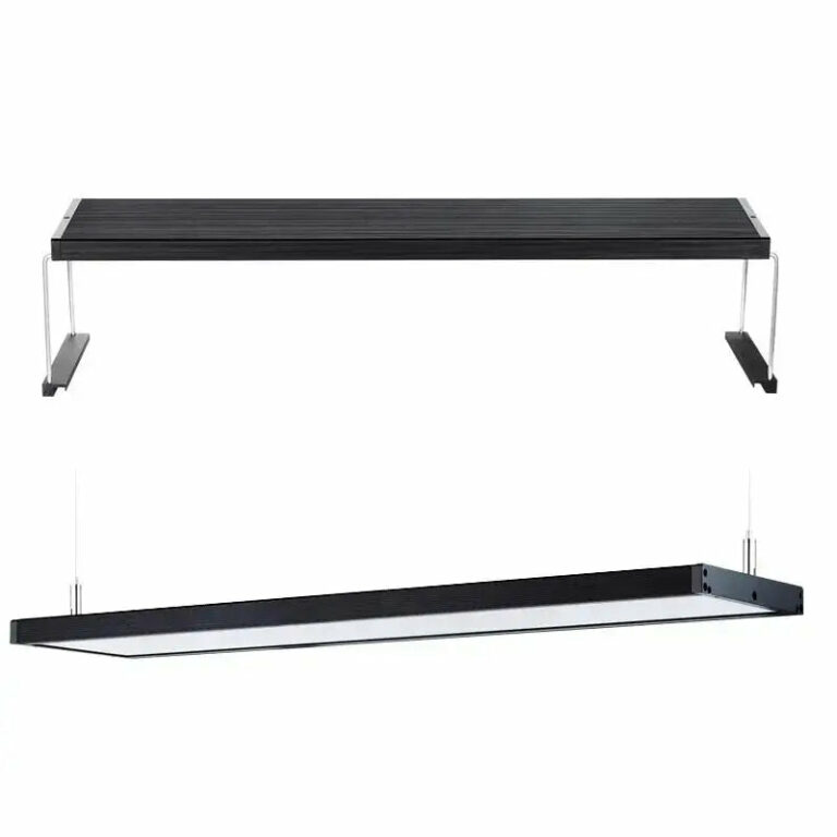 Back Water Aquatics Online Aquarium Products & Accessories Store and Aquascaping Gallery