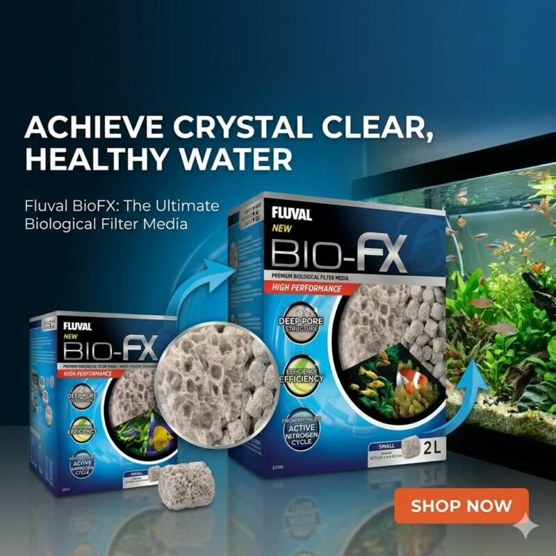 Back Water Aquatics Online Aquarium Products & Accessories Store and Aquascaping Gallery 1 Back Water Aquatics Online Aquarium Products & Accessories Store and Aquascaping Gallery
