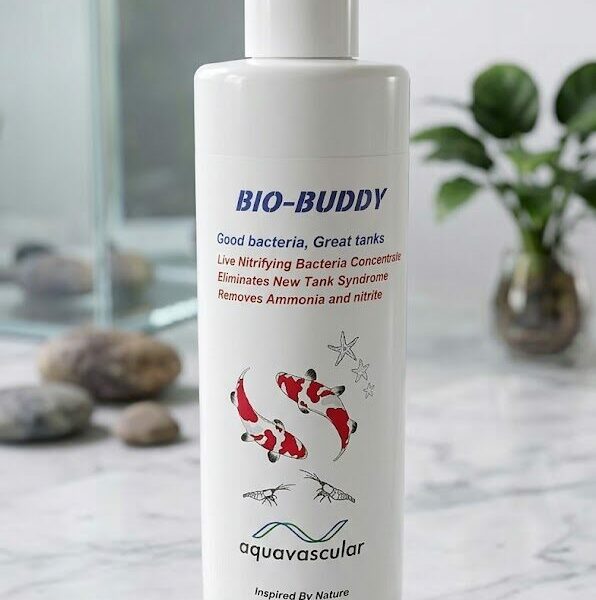 AquaVascular Bio-Buddy Beneficial Bacteria — Live Nitrifying Bacteria for Aquariums